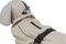 ΑΔΙΑΒΡΟΧΟ TRIXIE BE NORDIC RAINCOAT HUSUM SAND S (35CM) ΑΔΙΑΒΡΟΧΟ TRIXIE BE NORDIC RAINCOAT HUSUM SAND S (35CM)