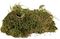  TRIXIE VIVARIUM MOSS  200GR