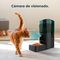   CECOTEC PUMBA 6000  WI-FI    (6L) [09566]