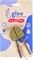 �������� ��������� GLEE TIMOTHY APPLE & CARRO...