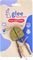 �������� ��������� GLEE TIMOTHY APPLE & CARRO...