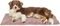������ TRIXIE XMAS LIVIA SOFT ANTIQUE PINK ��...