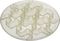 ���� ������ FIBOO SLOW FEEDER ������� (15X15C...