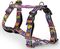 �������� GLEE ����� � PURPLE BOOM (XSMALL 41-...