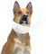 ������������� ������ KVP ������������ QUICK F...