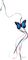 �������� ����� KONG TEASER BUTTERFLY