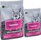 ����� ����� BLACK OLYMPUS KITTEN ��������� & ...
