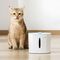 ΠΟΤΙΣΤΡΑ PAWGETHER SMART DRIP 1T ΛΕΥΚΗ (2,5L/18,3X18,3X20,8CM) ΠΟΤΙΣΤΡΑ PAWGETHER SMART DRIP 1T ΛΕΥΚΗ (2,5L/18,3X18,3X20,8CM)