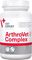 ���������� ��������� VET EXPERT ARTHROVET COM...