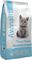 ����� AVENAL CAT KITTEN �� �����