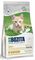 ����� ����� BOZITA KITTEN GRAIN FREE ��������...