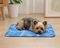 ΧΑΛΑΚΙ ΨΥΞΗΣ AFP CHILL ALWAYS COOL DOG MAT (50X40CM) ΧΑΛΑΚΙ ΨΥΞΗΣ AFP CHILL ALWAYS COOL DOG MAT (50X40CM)