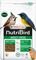 ����� ORLUX INSECT PATEE ���������� (250GR)