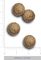 ΤΡΟΦΗ ΣΚΥΛΟΥ AMANOVA ADULT MINI OBESITY ΓΑΛΟΠΟΥΛΑ (2KG) ΤΡΟΦΗ ΣΚΥΛΟΥ AMANOVA ADULT MINI OBESITY ΓΑΛΟΠΟΥΛΑ (2KG)