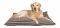    FINLEY 100 X 70 KA/
