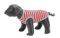 NOBBY A Y TRENDY DOG KOKKINO 25 ...