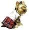 PETSLAND ������ �� ���������� �������� XSMALL