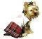 PETSLAND ������ �� ���������� �������� MEDIUM