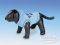 �Ͼ��� PUNK PUP SMALL ����