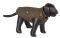 �����   NOBBY  ���� ���� 40CM