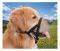   EASY LEADER NOBBY (SIZE ...