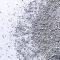  EVER CLEAN EXTRA STRONG CLUMPING SCENTED  6LT