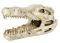 ������������ ��������� TRIXIE CROCODILE SKULL...
