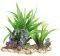   TRIXIE PLANT IN GRAVEL...