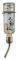 �������� TRIXIE HONEY & HOPPER GLASS WATER BO...