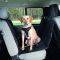 ������� TRIXIE ���������� ����������� 145�160...