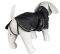  TRIXIE KING OF DOGS  (M-45CM)