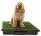 �������� ��� ���������� PETSAFE PET LOO SMALL...