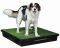    PETSAFE PET LOO LARGE...