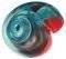 �������� KONG REWARD SHELL KOKKINO-���� (S)