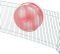 ΡΟΔΑ ΓΙΑ ΤΡΩΚΤΙΚΑ TRIXIE EXERCISE WHEEL ΚΟΡΑΛΙ 20CM
