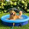 ������ GLEE PET POOL & SPRINKLER 2 IN1 ���� 120X30CM