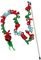  KONG HOLIDAY TEASE...