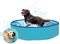    GLEE PET POOL