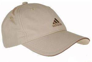  ESS CORP CAP 