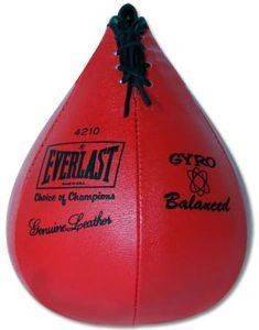   EVERLAST SPEED BAG 