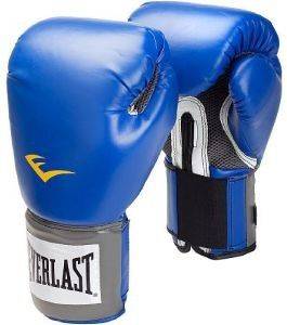   EVERLAST  PRO STYLE TRAINING  (10 OZ)
