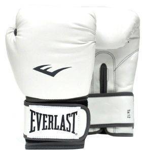    EVERLAST PRO STYLE TRAINING GLOVES  (8 OZ)