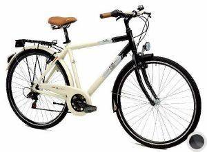 �������� REGINA LIBERO MAN 21V 28\'\' �����/�������