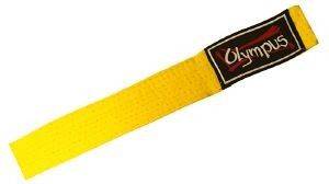 ΜΟΝΟΧΡΩΜΗ ΖΩΝΗ OLYMPUS 4 CM ΚΙΤΡΙΝΗ (260 CM) ΜΟΝΟΧΡΩΜΗ ΖΩΝΗ OLYMPUS 4 CM ΚΙΤΡΙΝΗ (260 CM)
