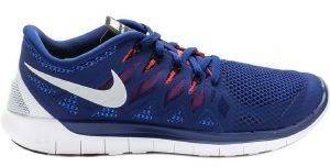 �������� NIKE FREE 5.0 ����/��������� (USA:8.5, EU:42)