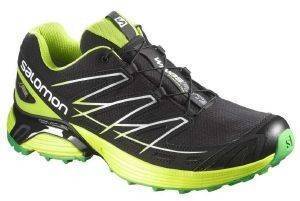 �������� SALOMON WINGS FLYTE GTX �����/������� (UK:9.5, EU:44)