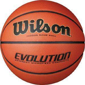  WILSON EVOLUTION INDOOR  (7)