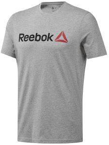 ΜΠΛΟΥΖΑ REEBOK LINEAR READ TEE ΓΚΡΙ (M) ΜΠΛΟΥΖΑ REEBOK LINEAR READ TEE ΓΚΡΙ (M)