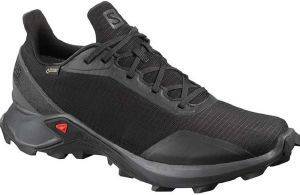  SALOMON ALPHACROSS GTX  (UK:8, EU:42)