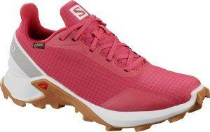 ΠΑΠΟΥΤΣΙ SALOMON ALPHACROSS GTX ΡΟΖ (UK:5, EU:38) ΠΑΠΟΥΤΣΙ SALOMON ALPHACROSS GTX ΡΟΖ (UK:5, EU:38)